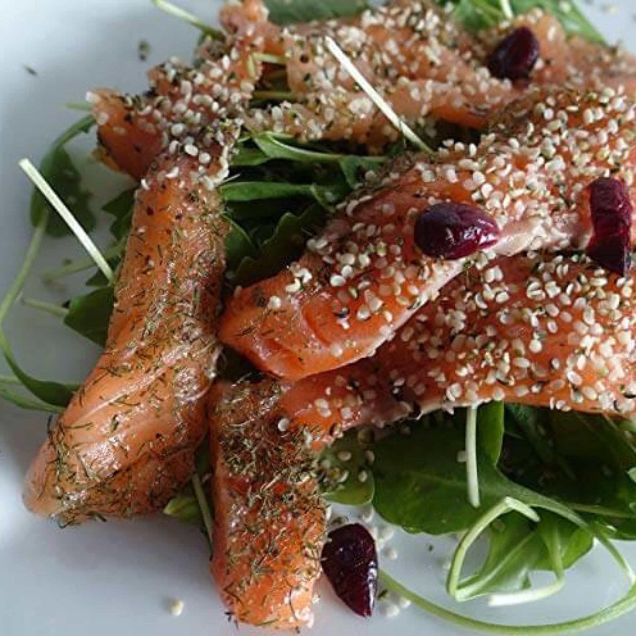 Bio Hanfsamen geschält und ungeröstet