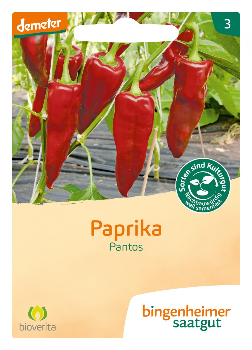 Bingenheimer Saatgut Paprika Pantos