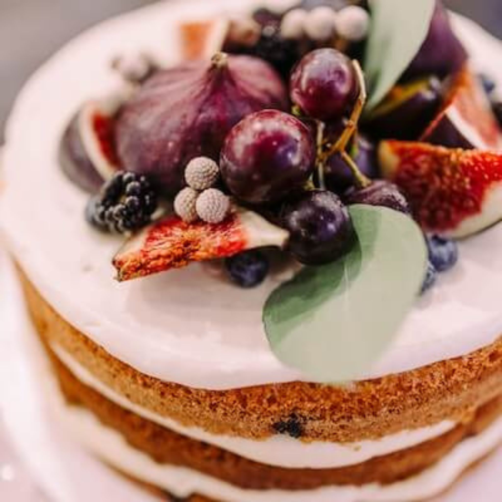 Baies d'Aronia Bio 1kg