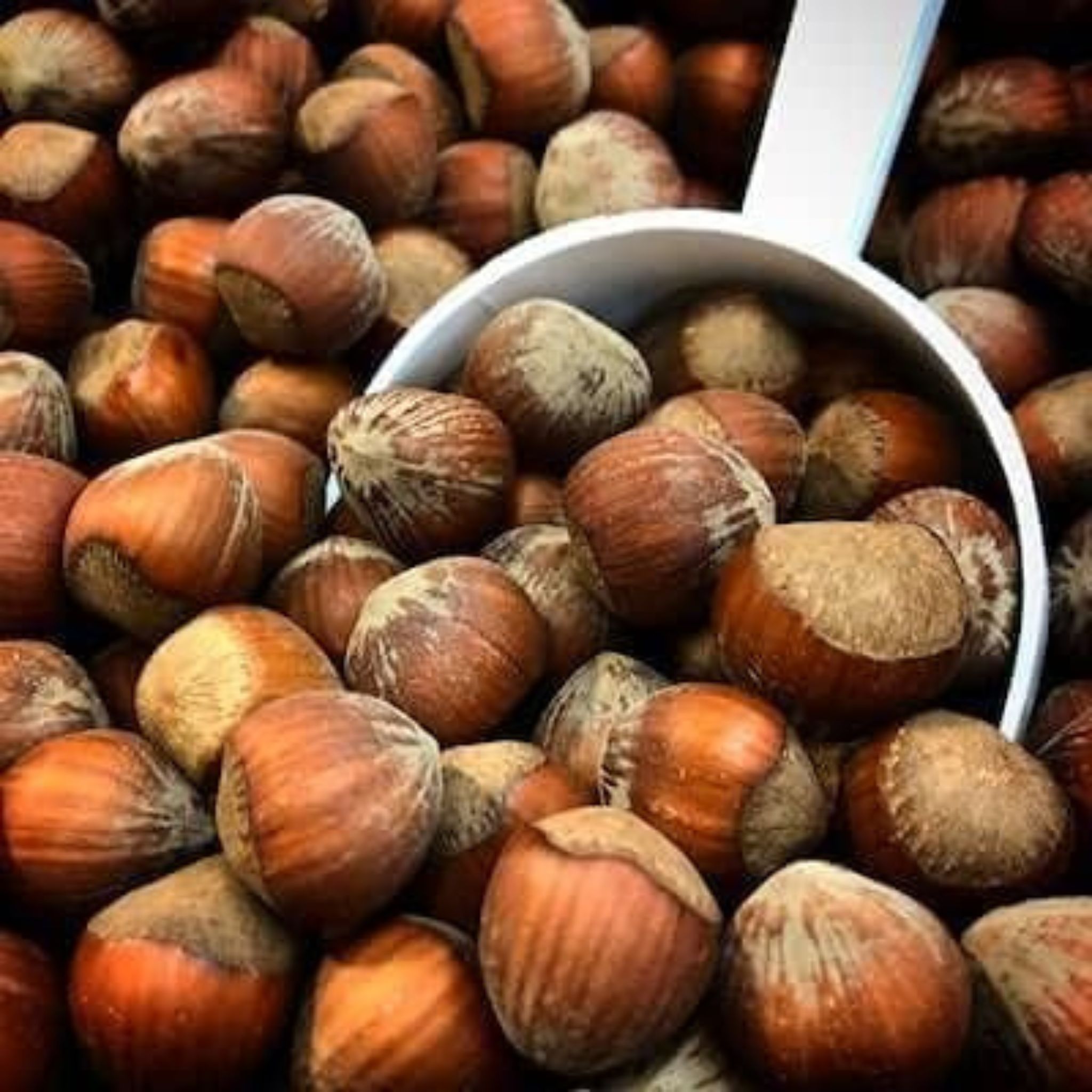 Noisettes avec coque 1kg