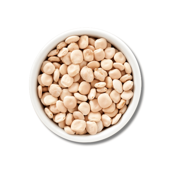 Lupins bio, blanc Lupins bio, blanc