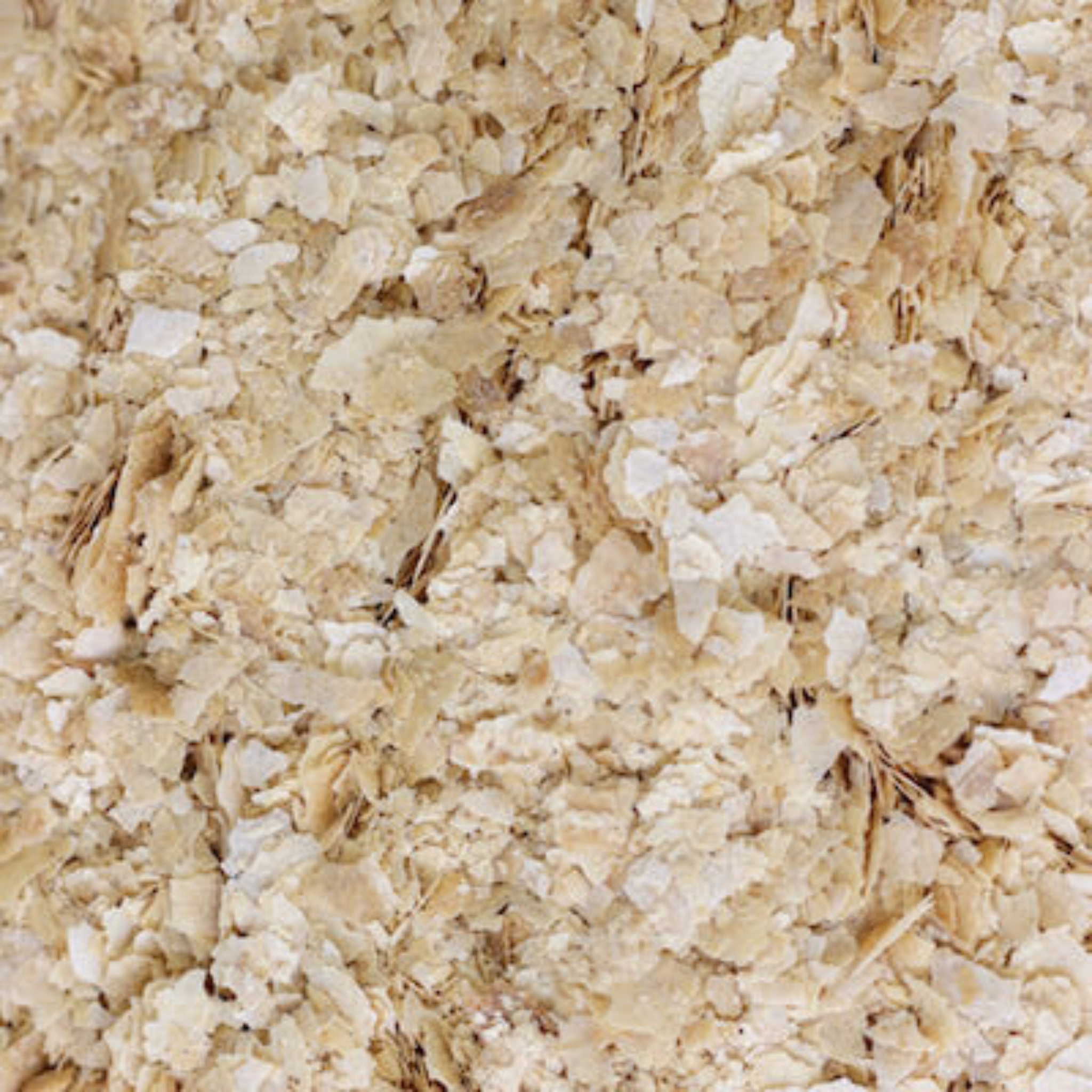 Flocons de levure bio 500g