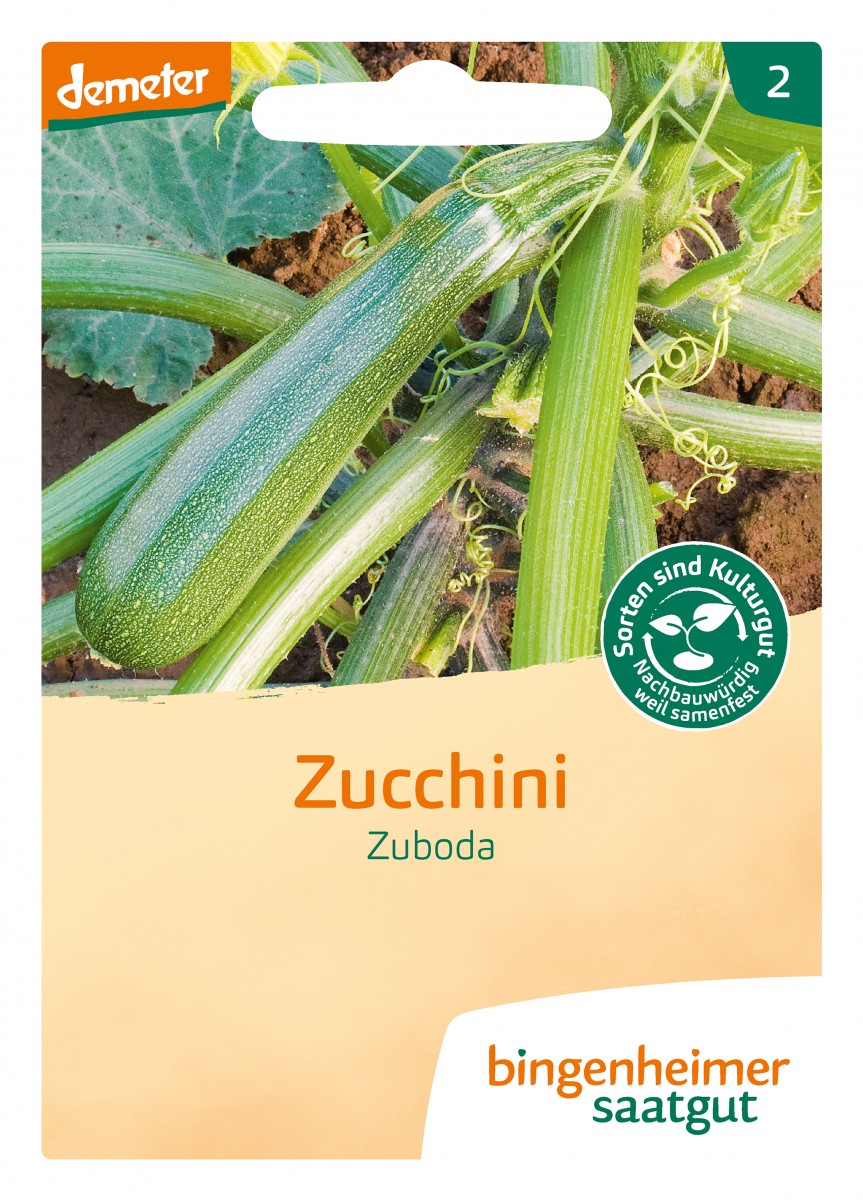 Bingenheimer Saatgut Zucchini Zuboda