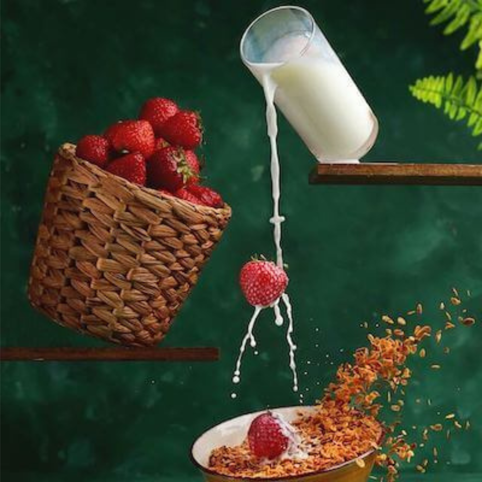 Lait entier en poudre bio 500g
